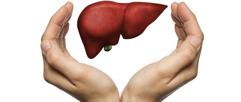 What Is Grade 1 Fatty Liver How To Reverse It Sitaram Bhartia Blog